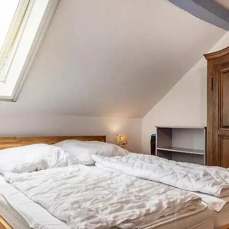 Apartment 50028